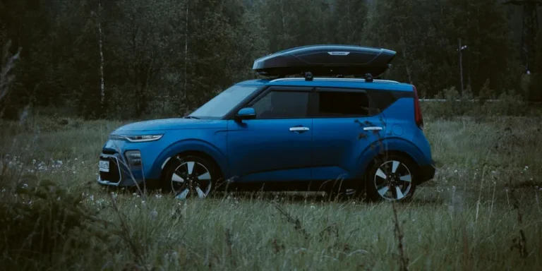 Blauwe Kia Soul met dakkoffer op dakdragers in een grasveld bij het bos