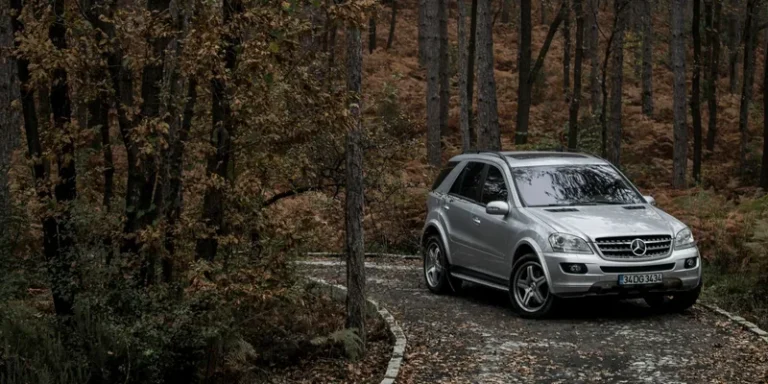Zilvergrijze Mercedes SUV met dakrails op een bosweg in de herfst