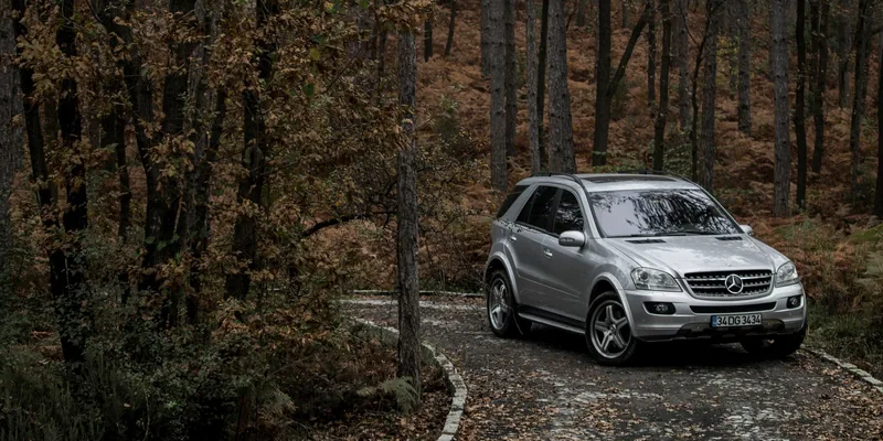 Zilvergrijze Mercedes SUV met dakrails op een bosweg in de herfst