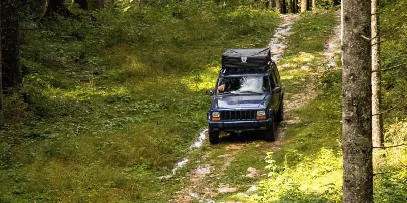 Auto met dakrek op dakrails rijdt over een bospad in het bos